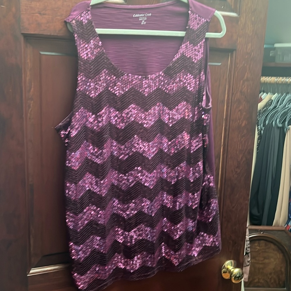Coldwater Creek sequin top